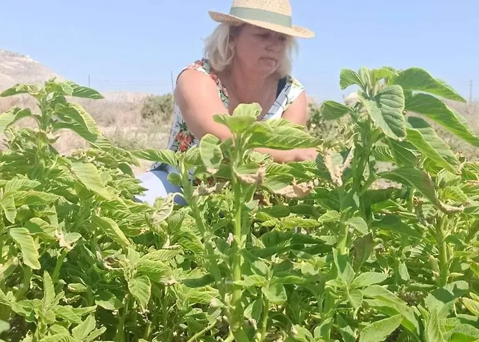 Ab Living Santorini * Εμπορειό